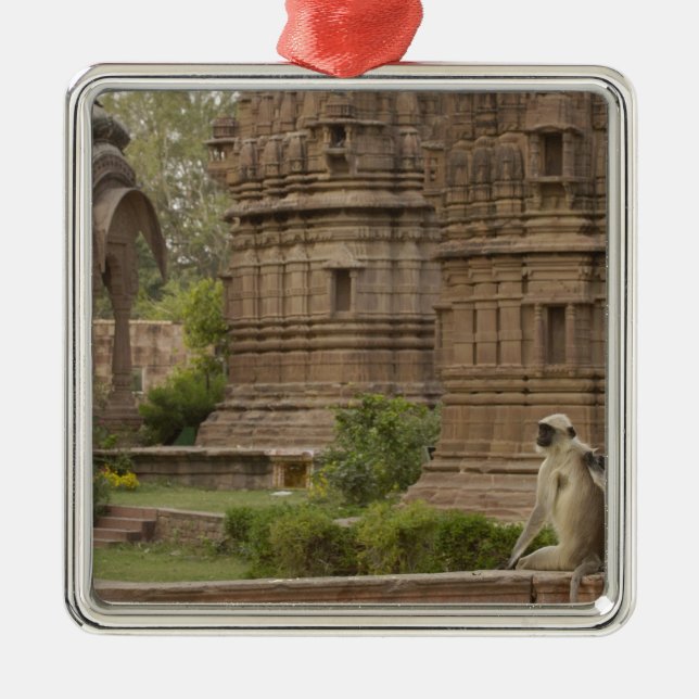 Hanuman-Langurs oder schwarz, gemein oder grau Silbernes Ornament (Vorne)