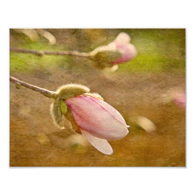 Happengeschenk Fotodruck (Vorne)