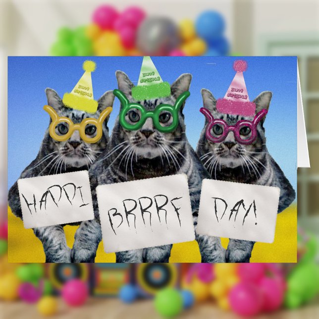 Happi Brrf Day Kitty Trio (Von Creator hochgeladen)