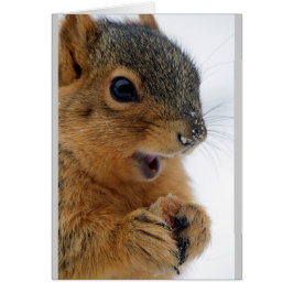 Happiest Eichhörnchen je