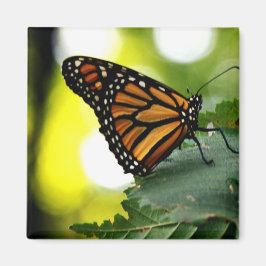 Happines ist ein Schmetterling Magnet