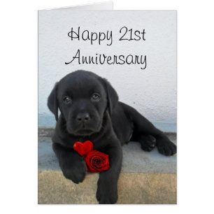 Happy 21. Jubiläum Labrador Welpenkarte