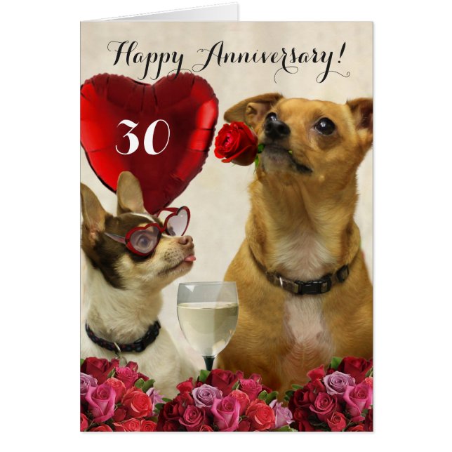 Happy 30. Jubiläumschihuahua Hundekarte (Vorne)