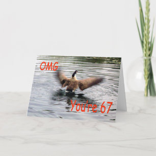 Happy 67. Geburtstag Gänseflattern Karte