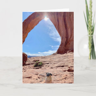 Happy Abschluss Dog Card   Lily the Mops Karte