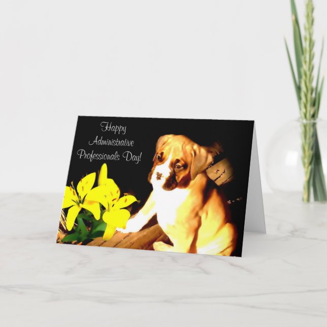 Happy Administrative Professionals Day Boxer Card Karte (Vorderseite)