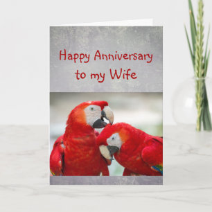 Happy Annivers Sweetheart Parrot Wife Love Karte