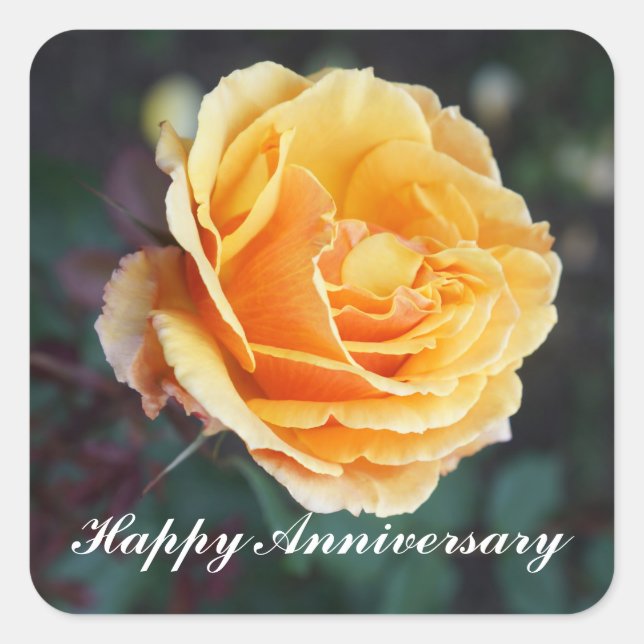 Happy Anniversary About Face Rose #3 Stickers (Vorderseite)