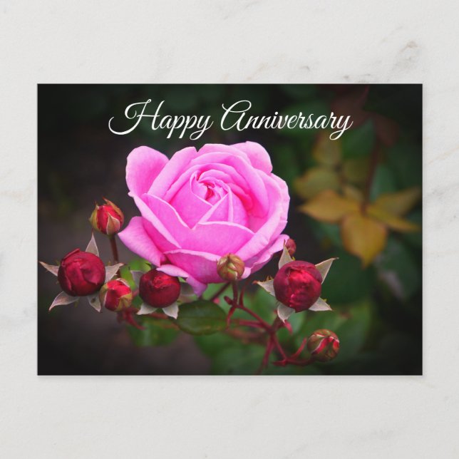 Happy Anniversary Bischofsburg Rose #1 Postkarte (Vorderseite)