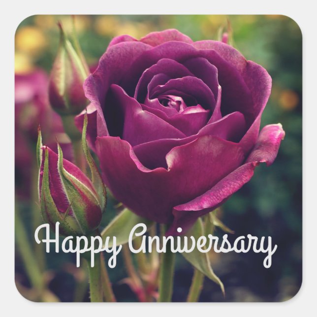 Happy Anniversary Burgundy Iceberg Rose #1 Aufkleb Quadratischer Aufkleber (Vorderseite)