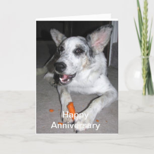 Happy Anniversary Carrot 'bout Karte