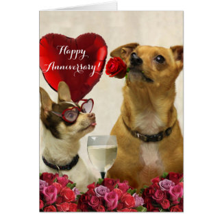 Happy Anniversary chihuahua Hundekarte
