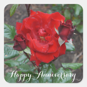 Happy Anniversary Crimson Bouquet #1 Stickers