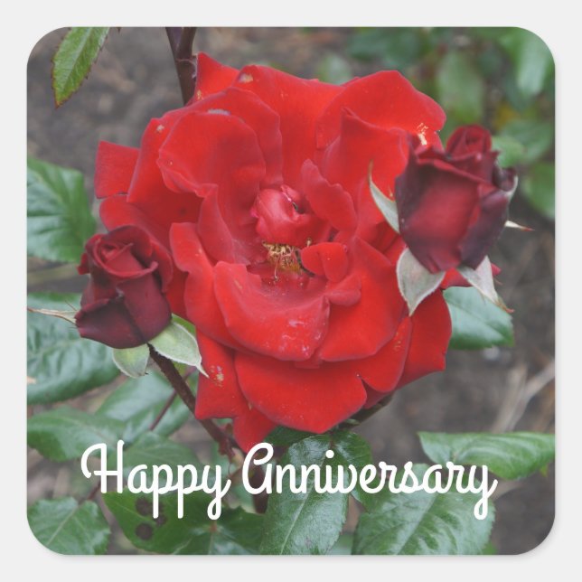 Happy Anniversary Crimson Bouquet Rose #1 Stickers (Vorderseite)