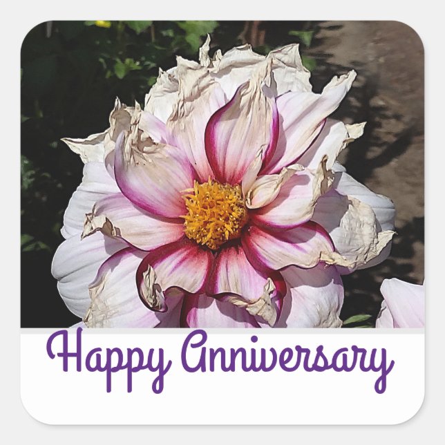 Happy Anniversary Dahlia Edge of Joy #1-2 Stickers (Vorderseite)