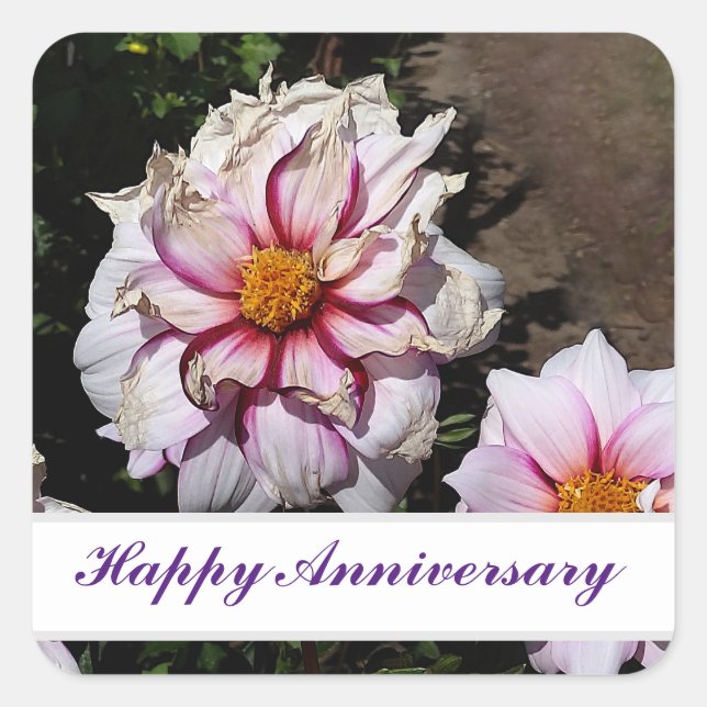 Happy Anniversary Dahlia Edge of Joy #1 Stickers (Vorderseite)