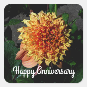 Happy Anniversary Dahlia Sandia Brocade #1 Platz Quadratischer Aufkleber