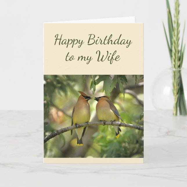 Happy Anniversary Ehefrau Birds in Liebe Fun Card Karte (Vorderseite)