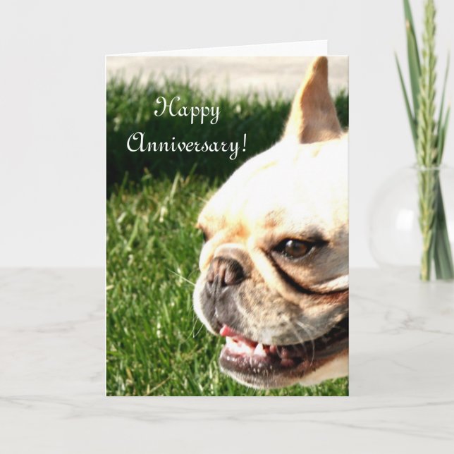Happy Anniversary French Bulldog greeting card Karte (Vorderseite)
