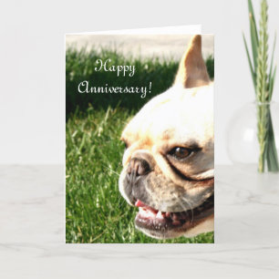 Happy Anniversary French Bulldog greeting card Karte