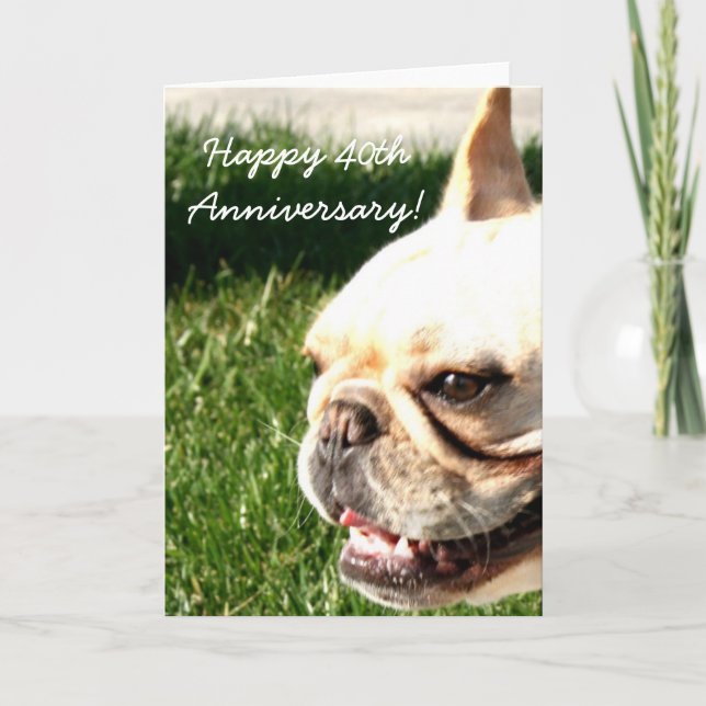 Happy Anniversary French Bulldog greeting card Karte (Vorderseite)