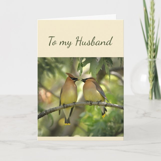 Happy Anniversary Husband Birds in Liebe Fun Card Karte (Vorderseite)