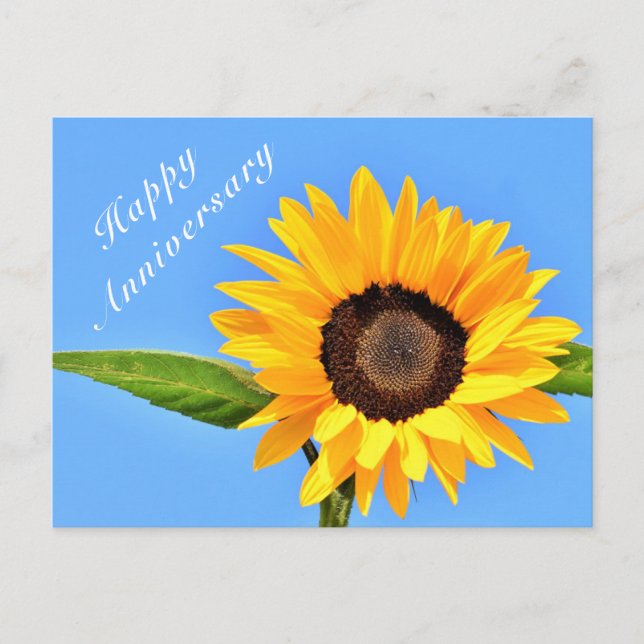 Happy Anniversary Postcard Sonnenblume auf Blue Sk Postkarte (Vorderseite)
