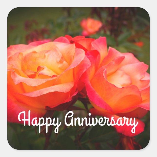 Happy Anniversary Rainbow Sorbet Rose #3 Stickers (Vorderseite)