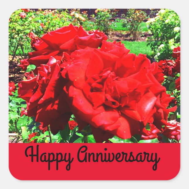 Happy Anniversary Rote Rose #1 Stickers (Vorderseite)