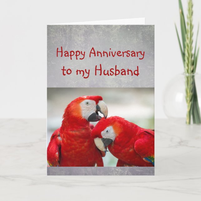 Happy Anniversary Sweetheart Parrot Husband Karte (Vorderseite)