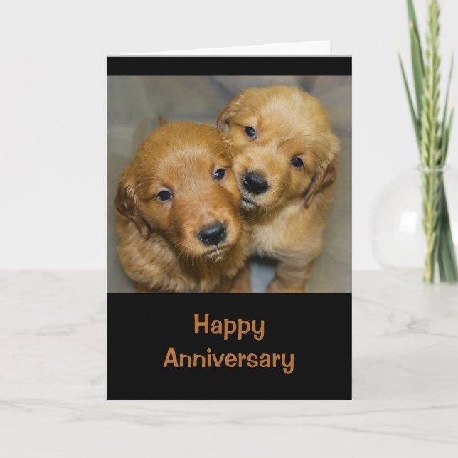 Happy Anniversary to a Dog Gone Niedlichen Karte (Vorderseite)