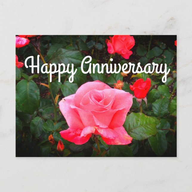 Happy Anniversary Touch der Class Rose #1 Postcard Postkarte (Vorderseite)