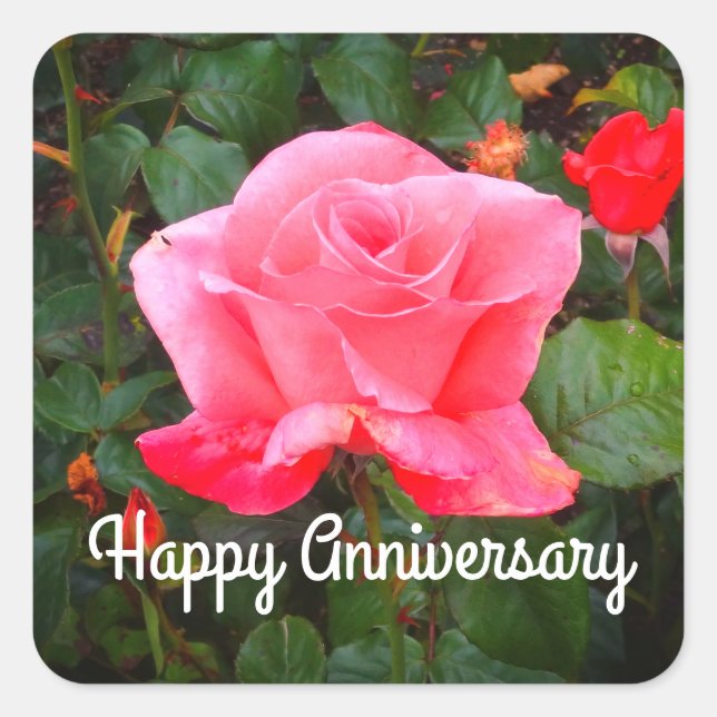 Happy Anniversary Touch der Class Rose #1 Stickers (Vorderseite)