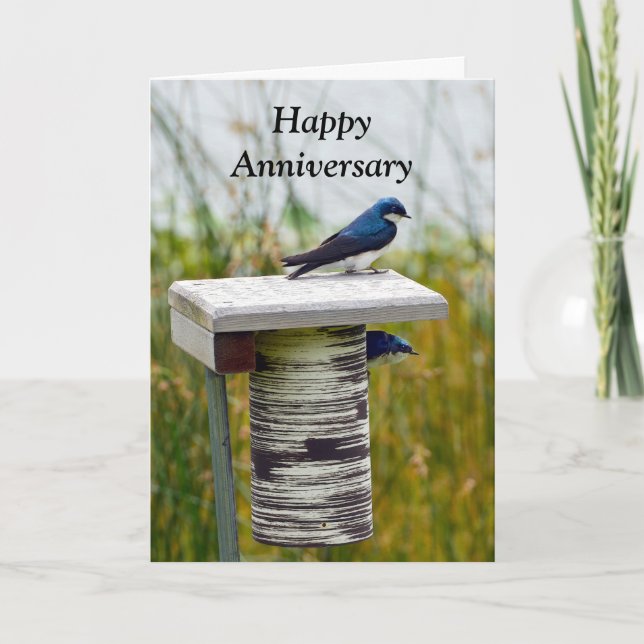 Happy Anniversary Tree Swallow Couple Karte (Vorderseite)