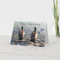 Happy Anniversary Two Canadian Gänse Grußkarte