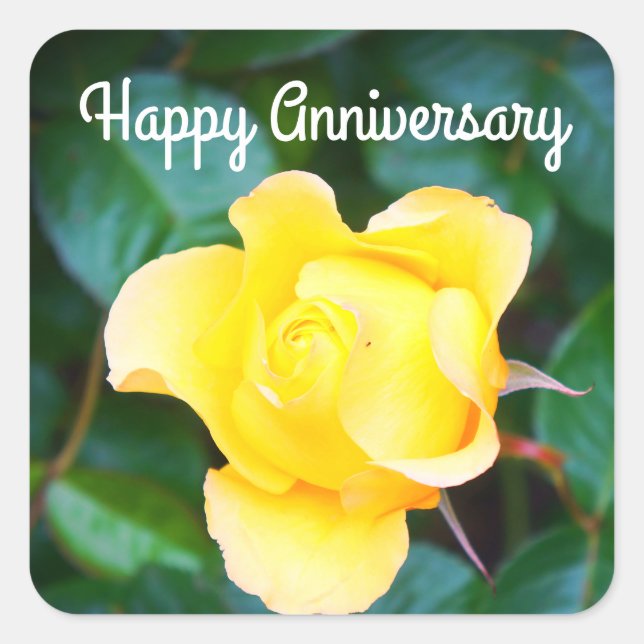 Happy Anniversary Walking auf Sunshine Rose #1 Quadratischer Aufkleber (Vorderseite)