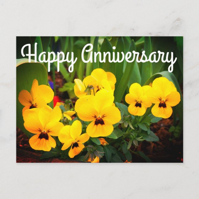 Happy Anniversary Yellow Pansy #1 Postcard Postkarte (Vorderseite)