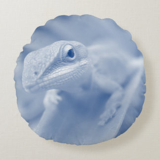 Happy Anole Rundes Kissen