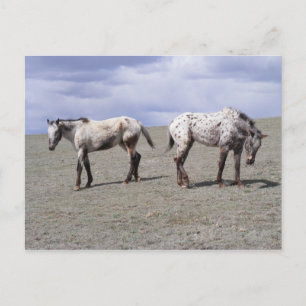 Happy Appys Postkarte