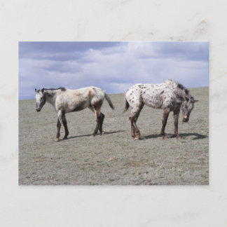 Happy Appys Postkarte