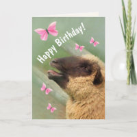 Happy aufgeregt Schafe zum Geburtstag