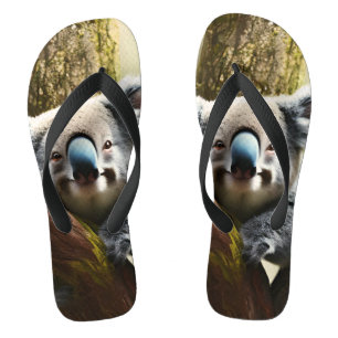 Happy australische Koala in Tree, Thongs Flip Flops