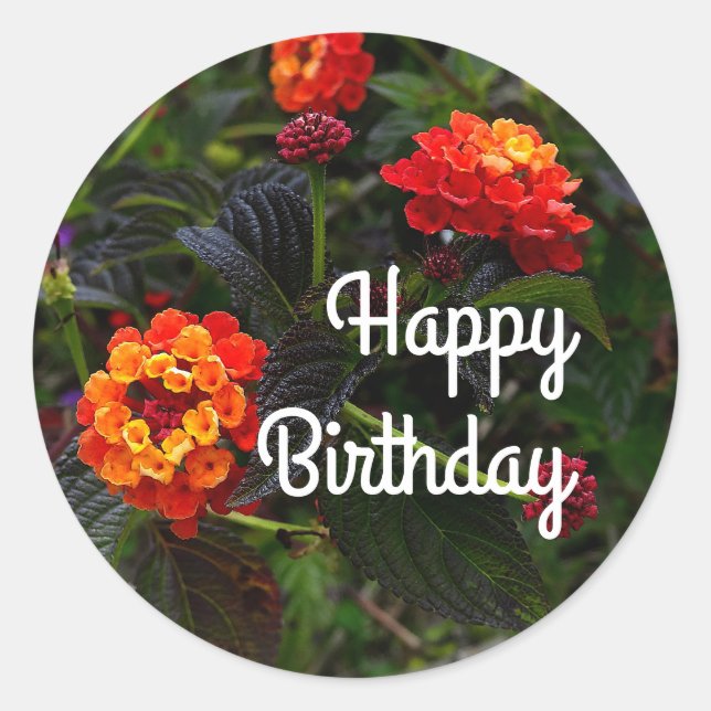 Happy Bday Orange Red Trailing Lantana #1 Stickers (Vorderseite)