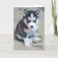 Happy Belated Birthday Husky Grußkarte