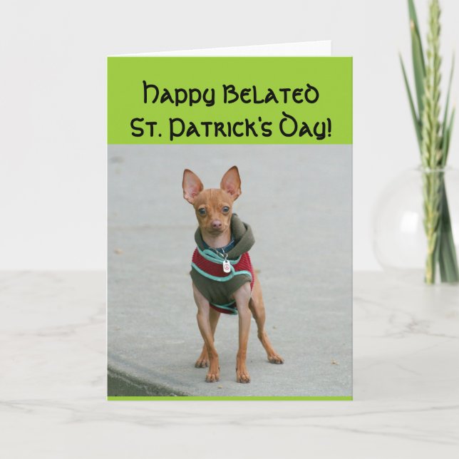 Happy Belated St Patrick's Day Chihuahua Karte (Vorderseite)