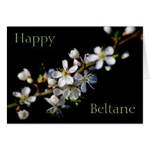 Happy Beltane (Frühlingsblüte)