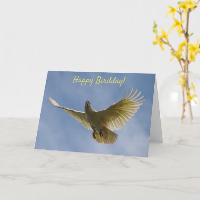 Happy Bird Day Birthday Cockatoo Flying Australia Karte (Gelbe Blume)