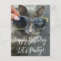 "Happy Birday Let's pawty" lustiges Kätzchen-Foto