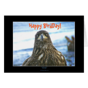 Happy BirdDay! Bald Eagle Grußkarte