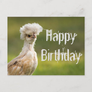 Happy BIrdday Polnisches Hühnchen Postkarte